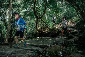 BIB: 
                            <button type="button" onclick="openModal(25864387)" class="btn btn-primary btn-sm float-right btn-popup" data-toggle="modal" data-target=".modal-high-quality">
                        <i class="fas fa-shopping-cart"></i> Add to Cart
                    </button>
                                            <button type="button" onclick="isThisMe(25864387, true)" class="btn btn-success btn-sm float-right btn-popup btn-isme hidden" data-toggle="tooltip" data-placement="bottom" title="นี่คือรูปของคุณใช่ไหม คลิกที่นี่เพื่อเอาเข้าอัลบั้ม">
                        <i class="fas fa-plus"></i> Add to album
                    </button>
                    <button type="button" onclick="isThisMe(25864387, false)" class="btn btn-warning btn-sm float-right btn-popup btn-isnotme hidden">
                        <i class="fas fa-ban"></i> Remove from album
                    </button>